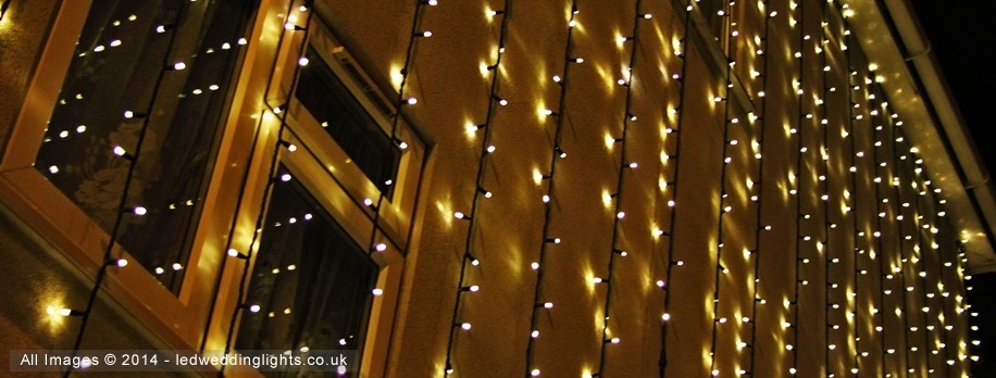 Warm White Lights